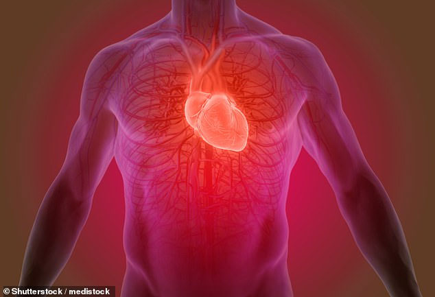 Loại keo thần kỳ có thể vá mô tổn thương cho người bị đau tim