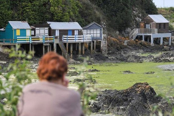 Loài tảo biển giết người trong tích tắc xuất hiện tại 6 bãi biển nước Pháp