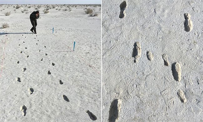 Loạt dấu chân người hé lộ hành trình 13.000 năm trước
