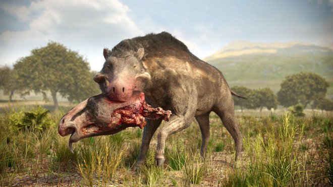 Lợn khổng lồ cổ đại: Kẻ khủng bố của Bắc Mỹ thời tiền sử