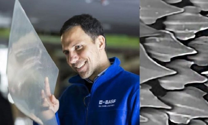 Lớp màng giống da cá mập giúp máy bay tiết kiệm nhiên liệu