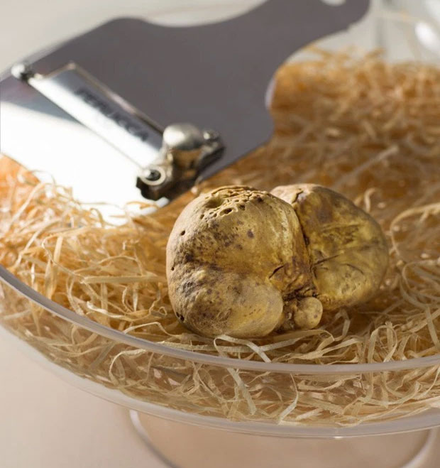 Lý do nào khiến nấm truffle siêu đắt đỏ, hầu như chỉ dành cho giới thượng lưu?