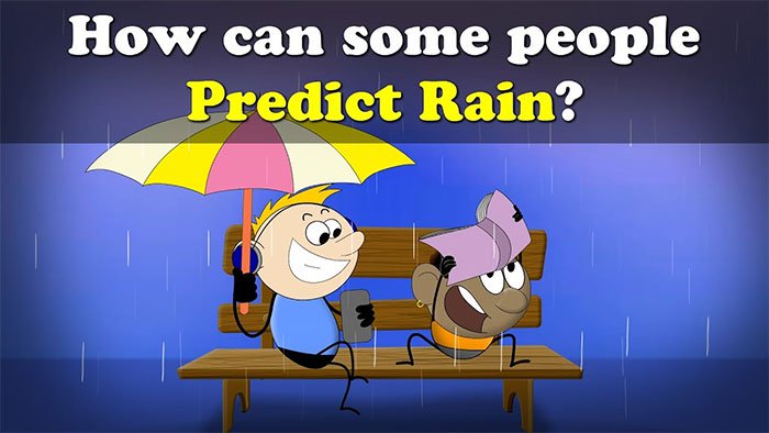 Lý do nhiều người có thể dự đoán mưa qua mùi không khí