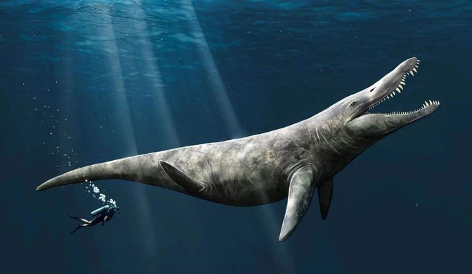 Mất tích 152 triệu năm, T-rex đại dương hiện ra bất ngờ giữa bảo tàng