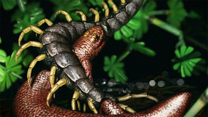 Mẫu hóa thạch tiết lộ tập tính đào bới đất của loài khủng long nhỏ