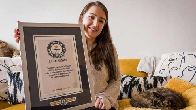 Mèo cao tuổi nhất thế giới lập kỷ lục Guinness