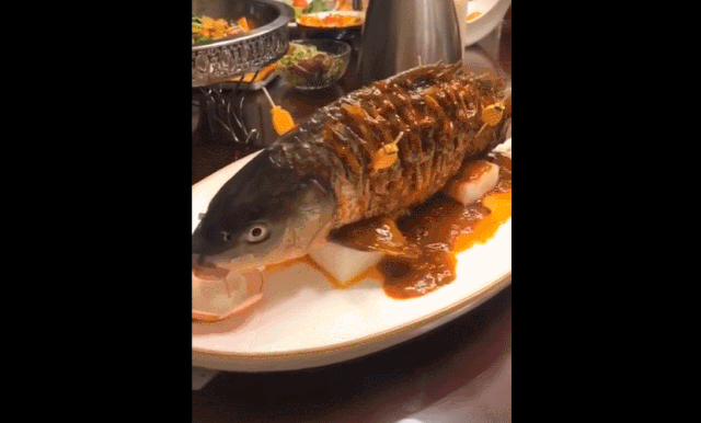 Món cá âm dương nửa sống, nửa chết khiến thực khách sởn da gà
