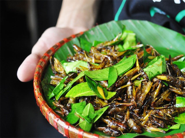 Một món ăn đặc sản vào mùa: Người Việt mê tít nhưng tiềm ẩn nguy cơ bệnh tật, có thể gây tử vong
