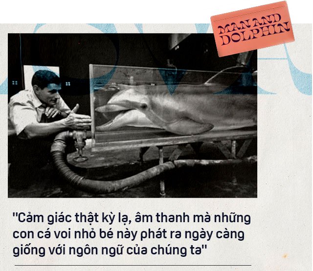 Năm 1965, một cô gái dạy cá heo nói Tiếng Anh, cuối cùng con cá đã yêu cô ấy điên cuồng