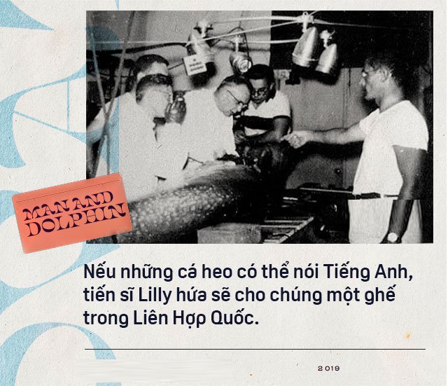 Năm 1965, một cô gái dạy cá heo nói Tiếng Anh, cuối cùng con cá đã yêu cô ấy điên cuồng