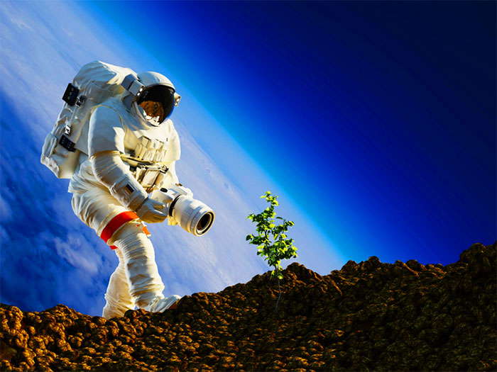 Năm 2026, các phi hành gia sẽ mang cây trồng lên Mặt trăng