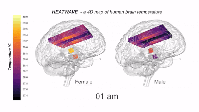 Não của bạn có thể nóng lên tới 41 độ C nếu bạn suy nghĩ nhiều