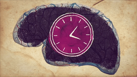 Não nhận biết thời gian như thế nào khi không có ánh sáng và đồng hồ?