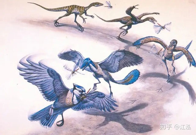 Nếu chim tiến hóa từ khủng long thì tại sao chim lại tiến hóa mỏ?