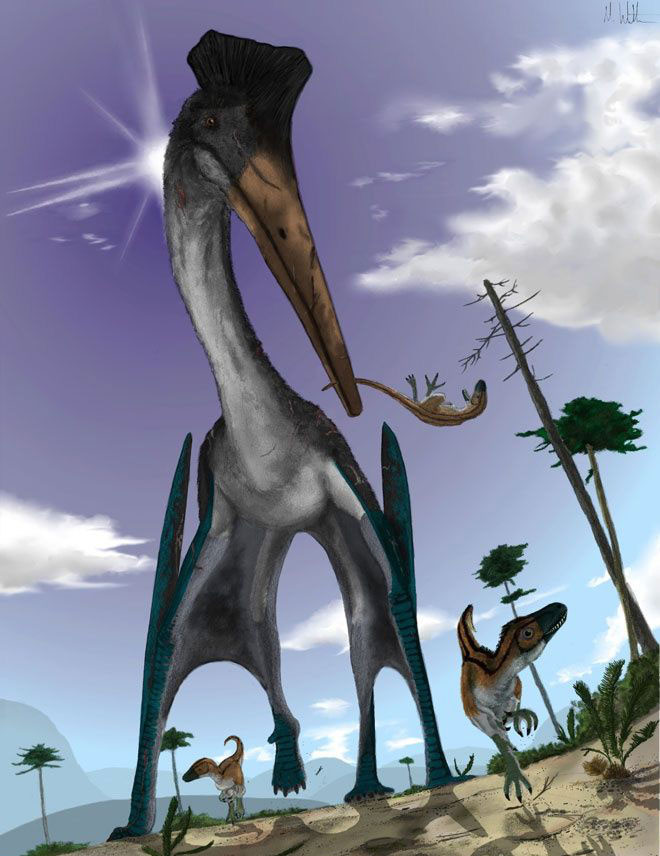 Nếu khủng long bay không bị tuyệt chủng, con người có thể thuần hóa chúng thành thú cưỡi không?