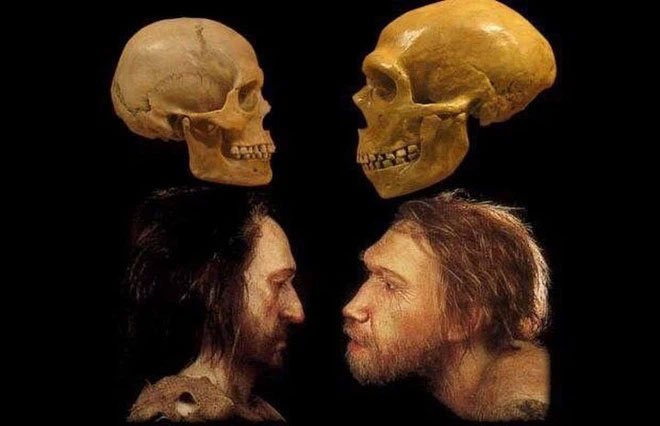 Nếu người Neanderthal không bị tuyệt chủng, thế giới sẽ ra sao?