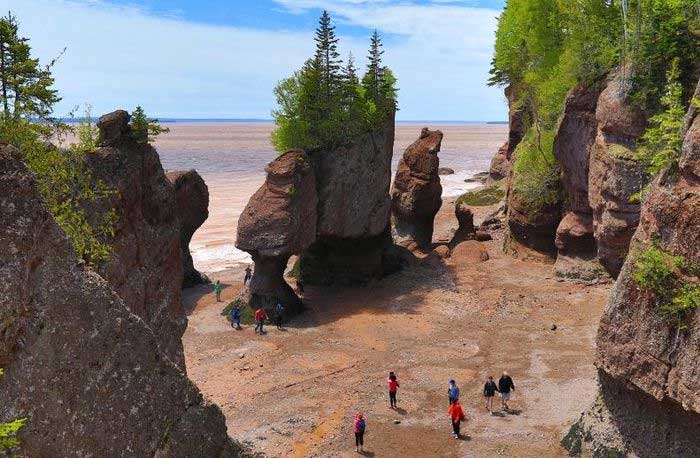 New Brunswick - Nơi khách du lịch có thể gặp quái vật khổng lồ thời tiền sử