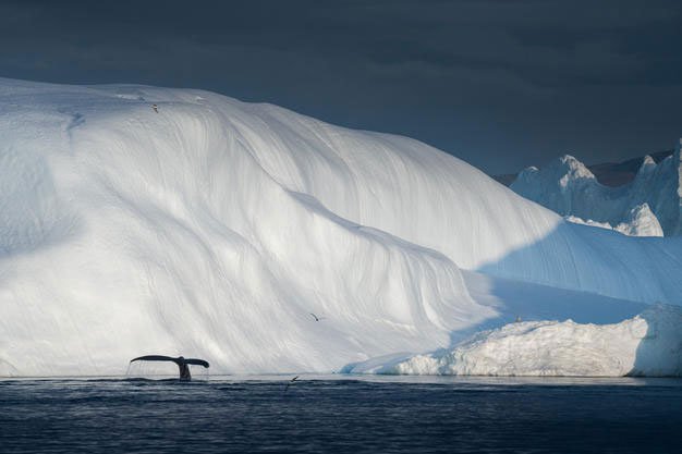 Ngắm Greenland đẹp mê ly nhưng có thể sớm mất vĩnh viễn