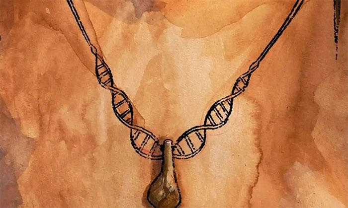 Nghiên cứu DNA để tìm ra chủ nhân sợi dây chuyền thời đồ đá