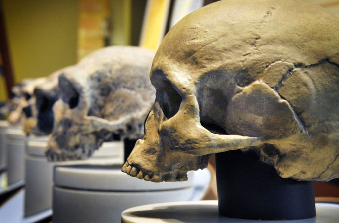 Nghiên cứu gây sốc cho thấy: 3.000 năm trước, não loài người bị thu nhỏ lại