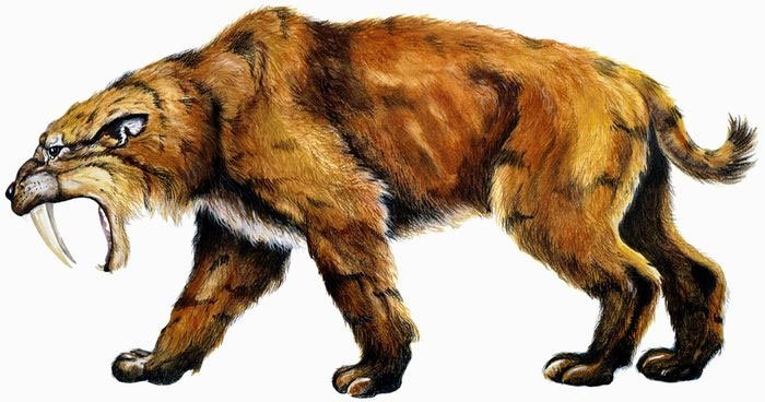 Nghiên cứu hóa thạch cho thấy không phải tất cả động vật có răng kiếm đều là động vật săn mồi