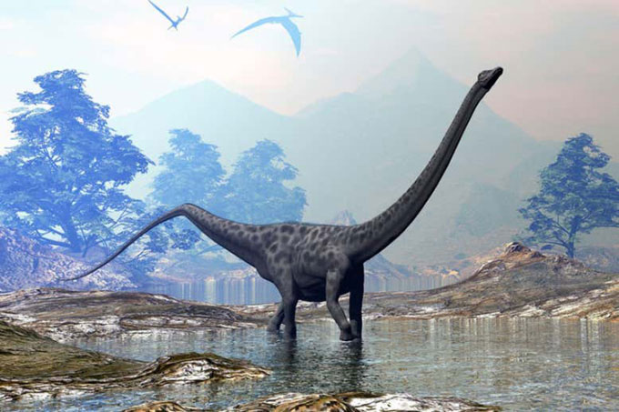 Nghiên cứu mới tiết lộ dáng đi của khủng long cổ dài khổng lồ