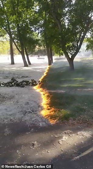 Ngọn lửa bí ẩn xuất hiện trong công viên ở Tây Ban Nha