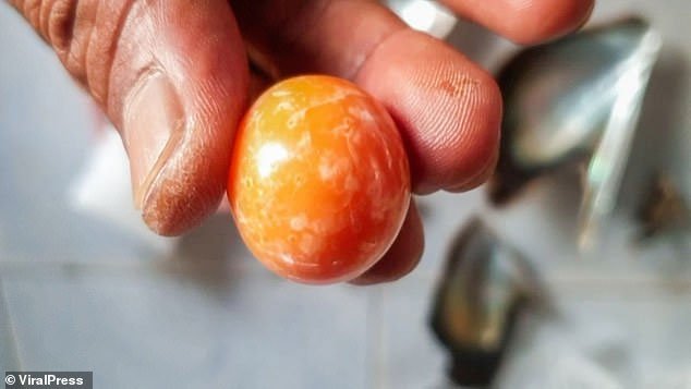 Ngư dân nghèo nhặt được ngọc màu cam hiếm có, được trả giá tới 7,6 tỷ đồng