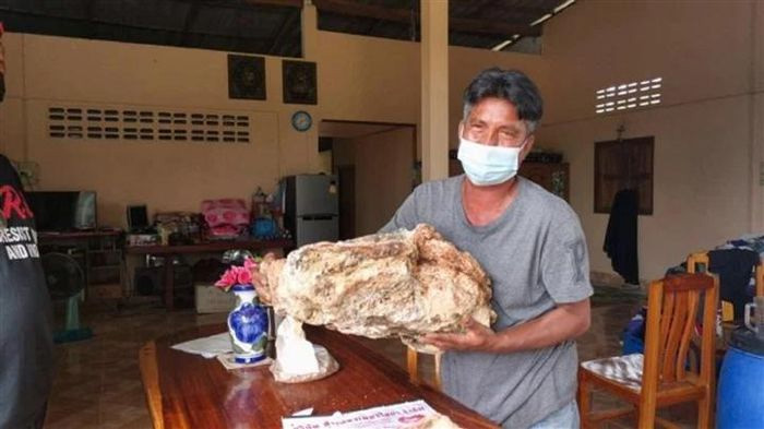 Ngư dân Thái Lan trúng số khi nhặt được khối long diên hương giá 30 tỷ đồng trên bãi biển