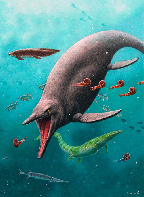 Ngư long cổ xưa nhất thế giới hiện ra ở Bắc Cực sau 250 triệu năm