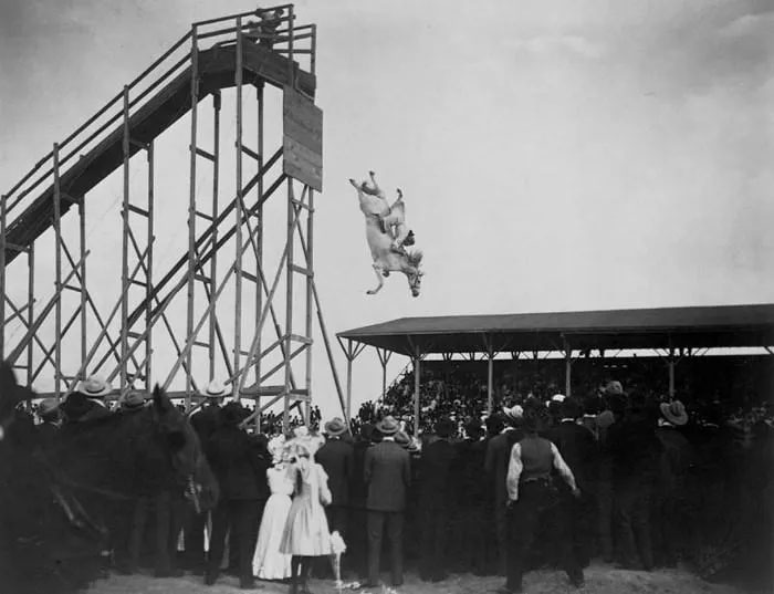 Ngựa lặn: Môn thể thao nguy hiểm, tàn nhẫn ở thế kỷ 19