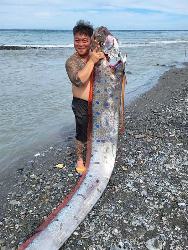 Người đàn ông câu được con cá mái chèo khổng lồ dài 6m, nặng 130kg