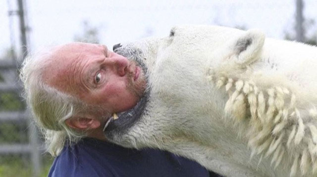 Người đàn ông duy nhất trên thế giới đủ dũng khí tắm chung cùng gấu Bắc Cực
