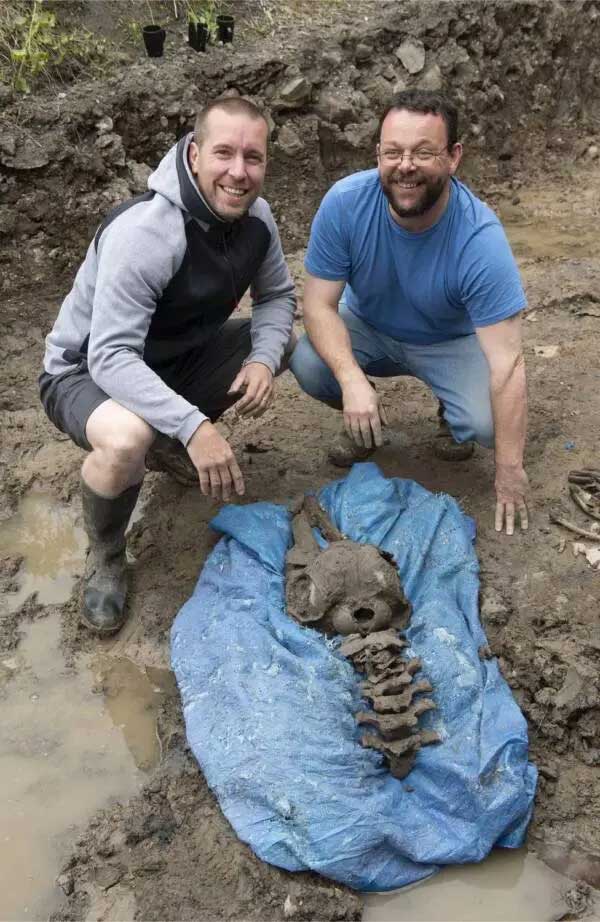 Người đàn ông tìm thấy xương cá heo 8.000 năm tuổi khi đang đào bể bơi cho các con của mình