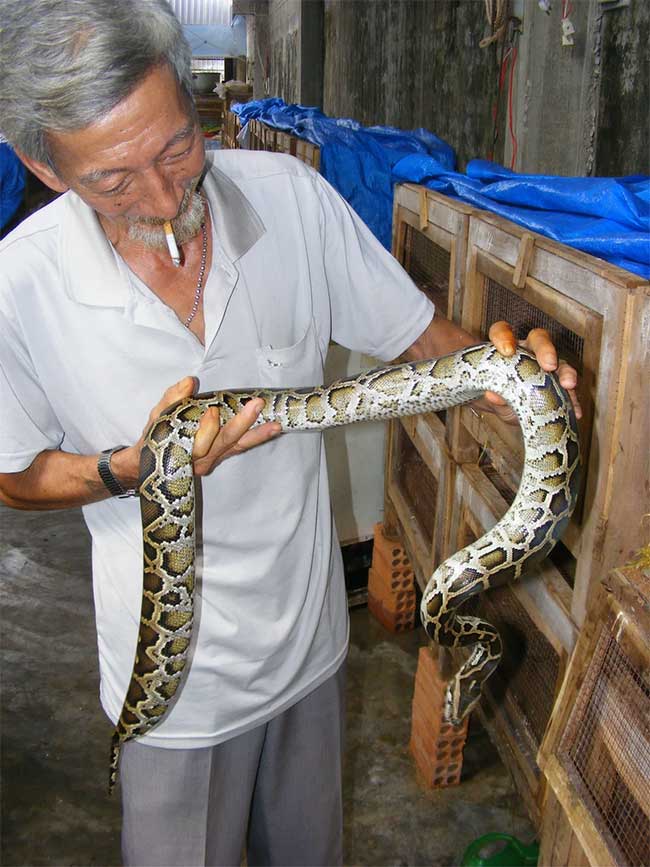 Người Việt đang ăn một loại thịt mà các nhà khoa học nghĩ cả thế giới nên học hỏi