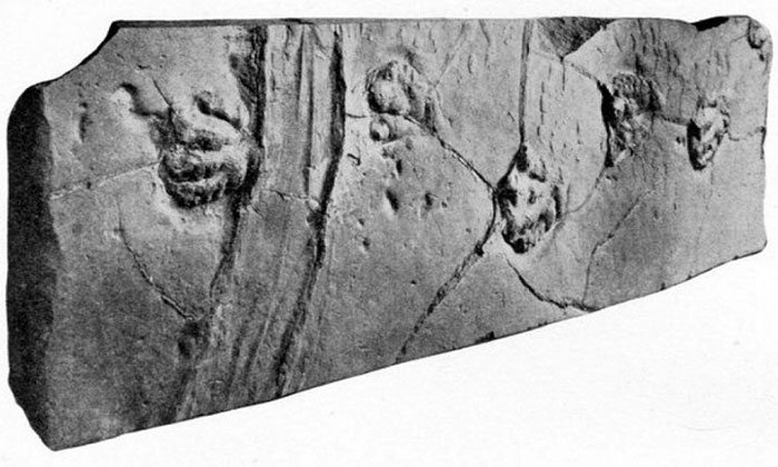 Nguồn gốc những hòn đá tự di chuyển ở thung lũng Chết