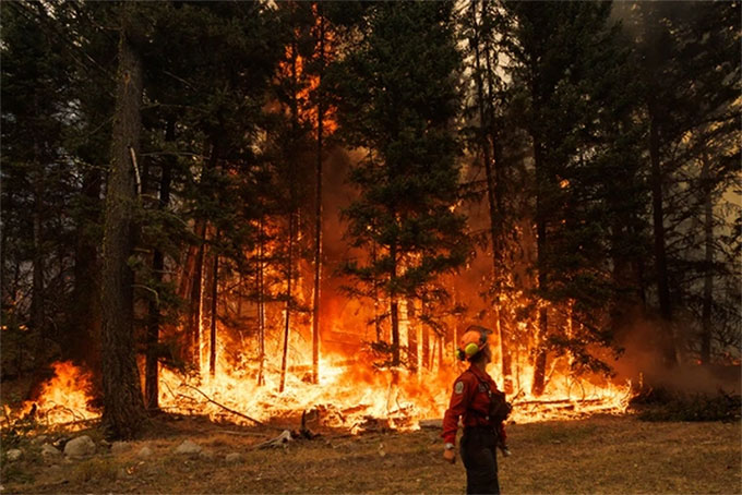 Nguyên nhân cháy rừng bùng lên dữ dội ở Canada