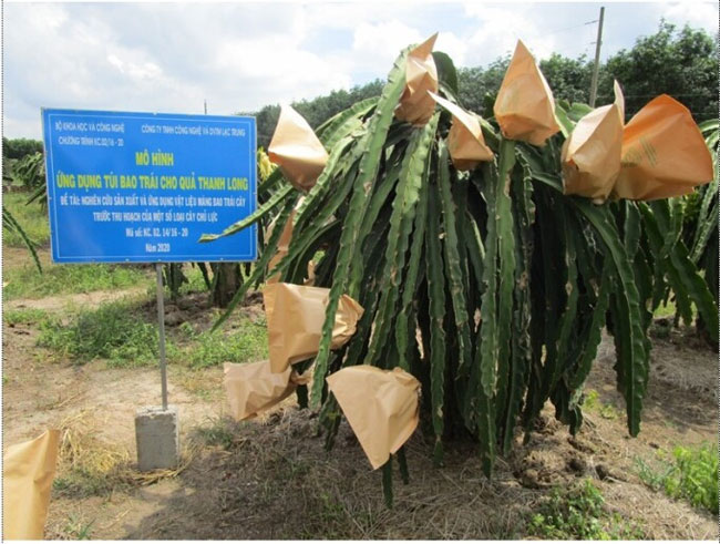 Nhà khoa học Việt chế tạo thành công màng bọc sản xuất trái cây siêu sạch
