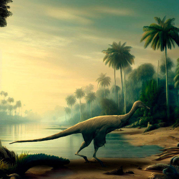 Nhật Bản phát hiện hóa thạch đà điểu lai khủng long 121 triệu tuổi
