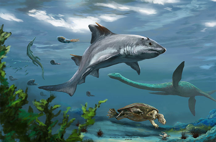 Nhật Bản phát hiện loài thủy quái 237 triệu tuổi