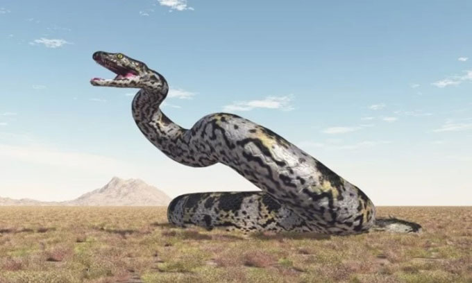Nhóm nghiên cứu Ấn Độ tìm thấy hóa thạch có thể là loài rắn lớn nhất hành tinh