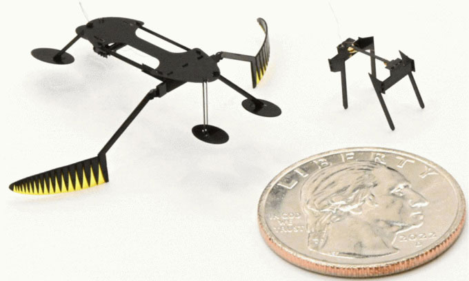 Nhóm nghiên cứu phát triển robot côn trùng nhỏ và nhanh kỷ lục