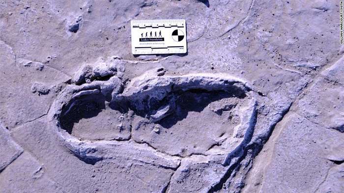 Những dấu chân hóa thạch lớn nhất châu Phi hé lộ cách người xưa đi kiếm ăn