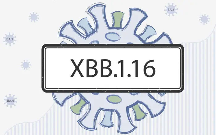 Những điều cần biết về biến thể XBB.1.16 đang gia tăng tại Châu Á