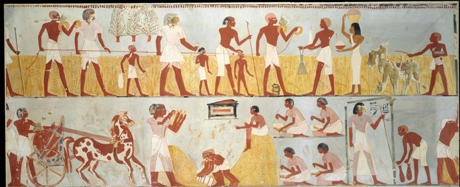 Những điều thú vị của thuế thời Ai Cập cổ đại