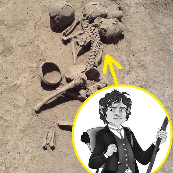 Những khảo cổ tuyệt vời được phát hiện một cách hoàn toàn tình cờ