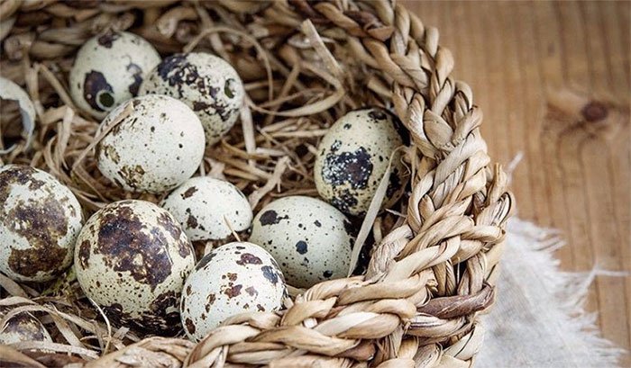 Những lợi ích tuyệt vời của trứng cút