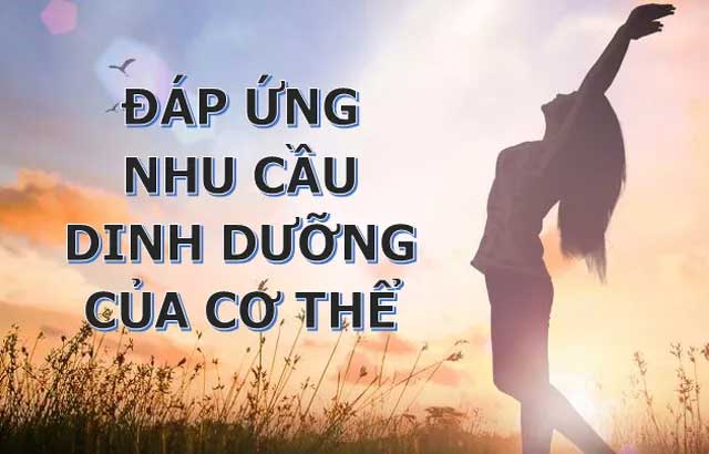 Những lý do tại sao bạn nên ăn ngũ cốc nguyên hạt mỗi ngày