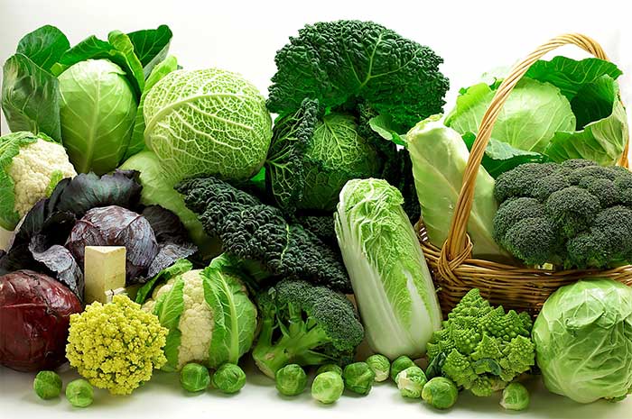 Những sai lầm khi ăn rau cải phí dinh dưỡng và dễ gây ngộ độc
