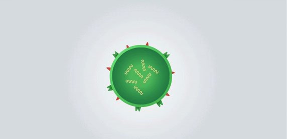 Những sự thật ít người biết về virus: Chúng đến từ đâu, lây lan và gây bệnh như thế nào?